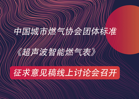 中國城市燃氣協會團體標準  《超聲波智能燃氣表》  征求意見稿線上討論會召開